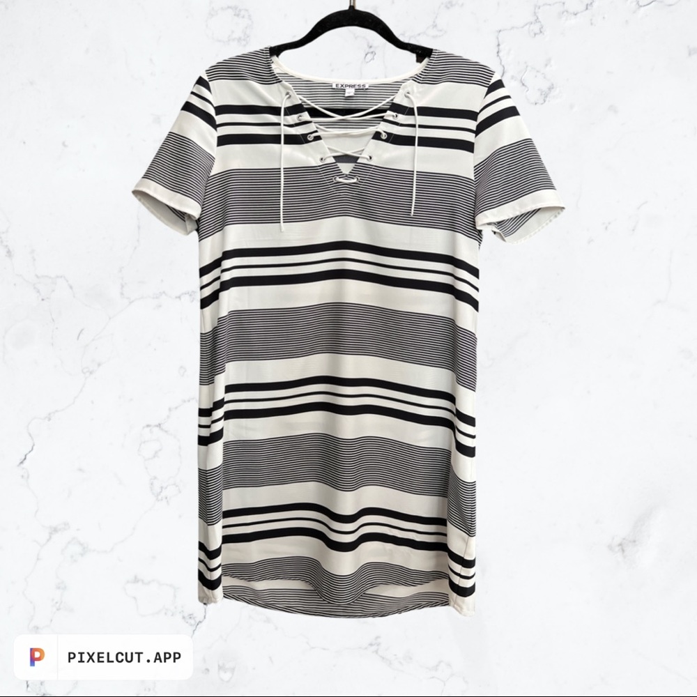 Express Shift Dress Size S
